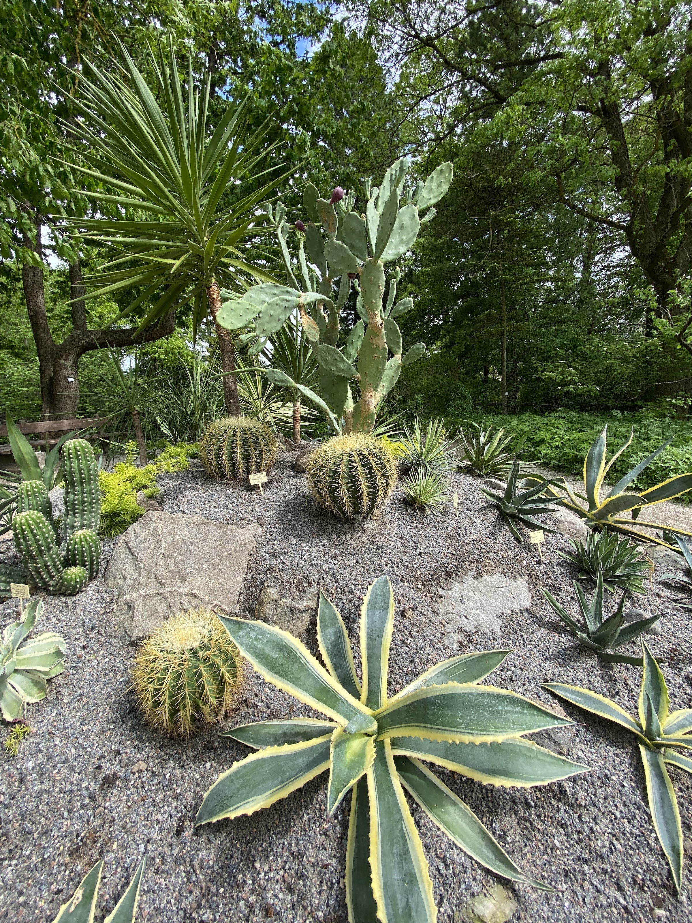 Botanical Garden of the University of Tartu